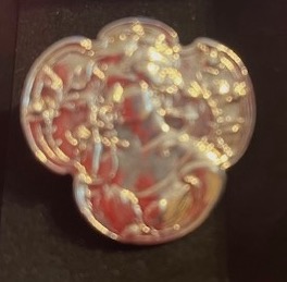 Art Nouveau Silver Plated Brooch of Nymph/female/Mucha head on a forget-me-not and floral background